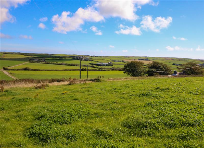 Rural landscape
