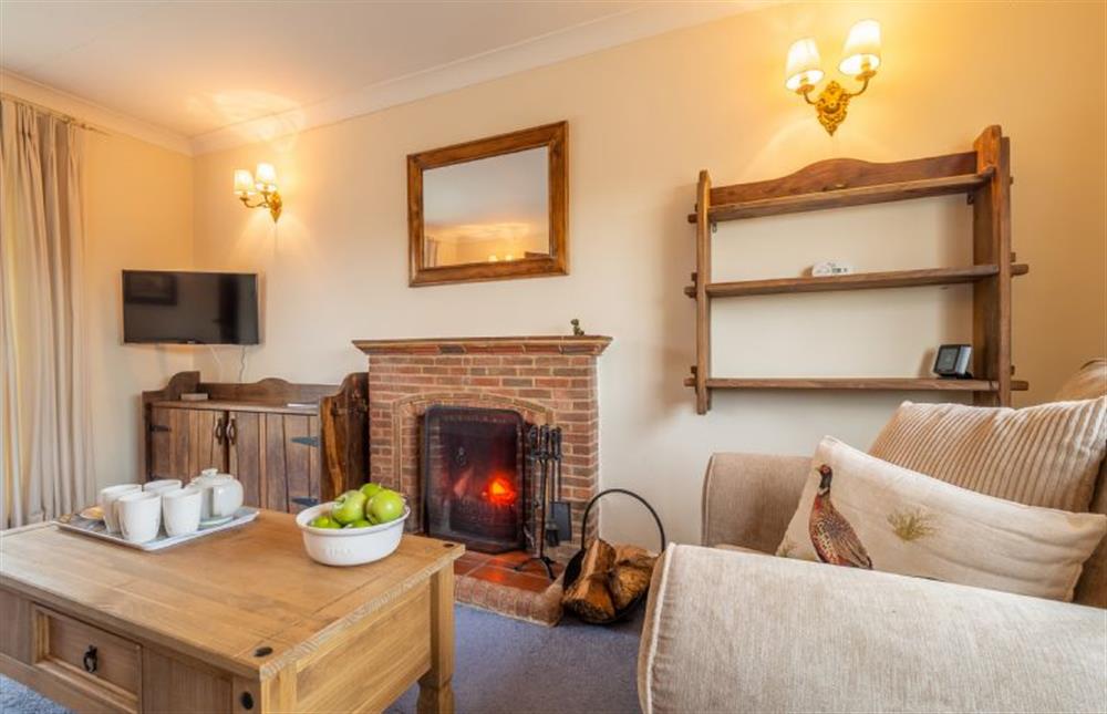 Cosy sitting room with television and an open-fire at Hill Farm House, Huntingfield