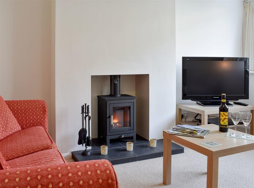 Comfortable living room with wood burner at Hill Top in Richmond, North Yorkshire