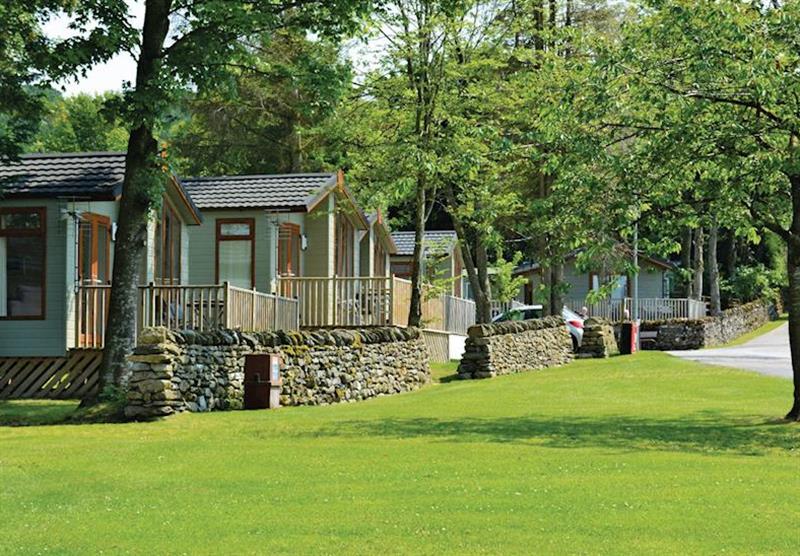The park setting at Hillcroft Holiday Park in Pooley Bridge, Ullswater