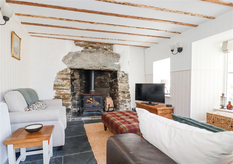 The living area at Hilldene, Treknow