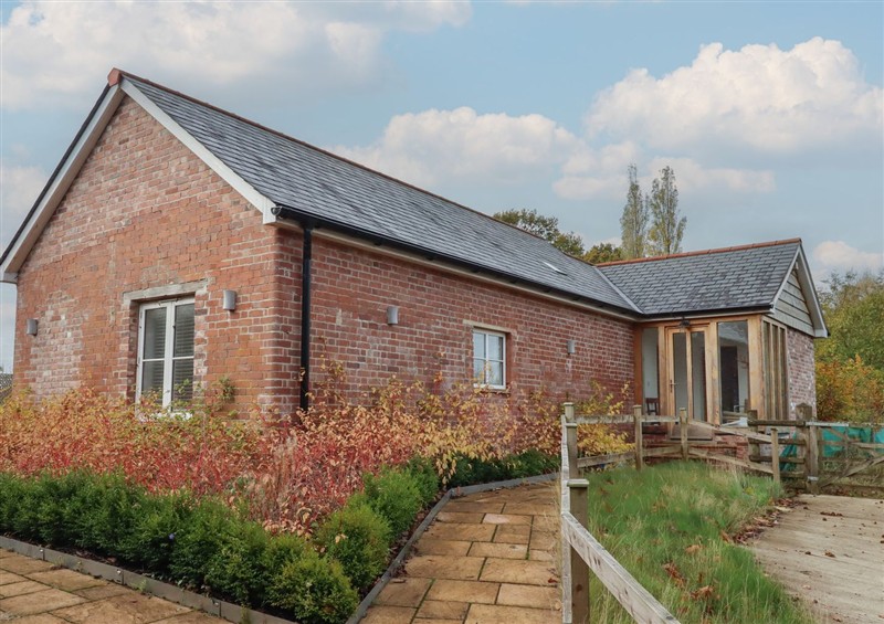 Enjoy the garden at Hilldown Cott, near Bow