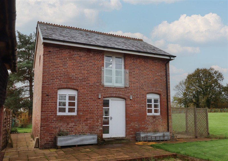 The garden in Hilldown Granary at Hilldown Granary, near Bow