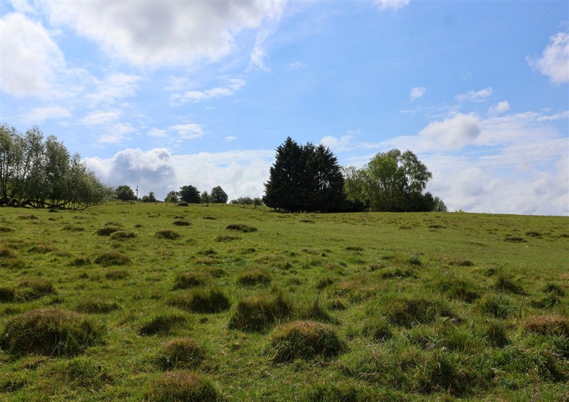 The garden in Hillside at Hillside, Bishops Cleeve