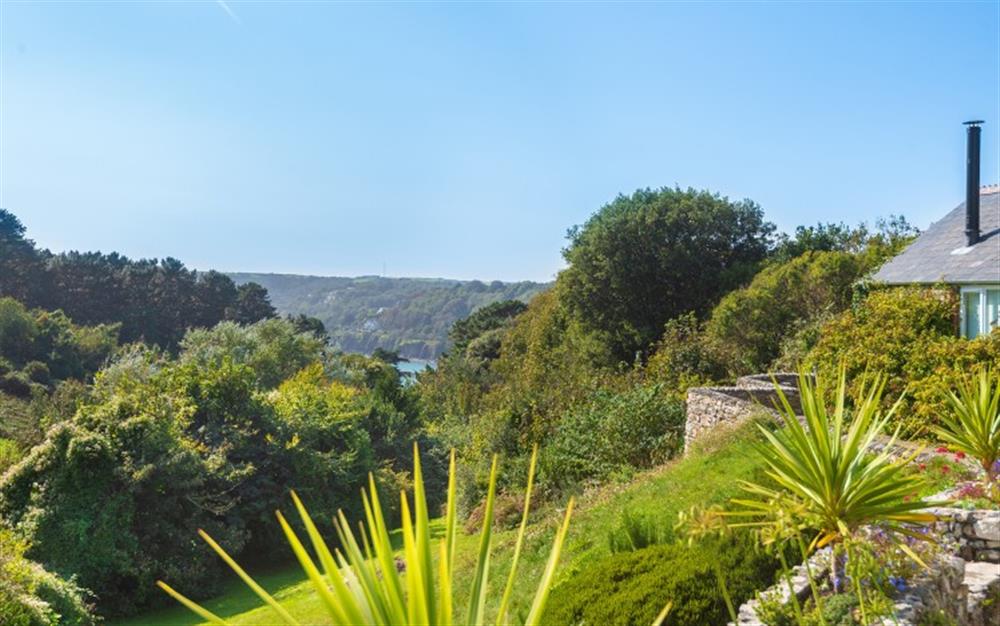 Views down the valley to Salcombe Estuary at Hillside in East Portlemouth