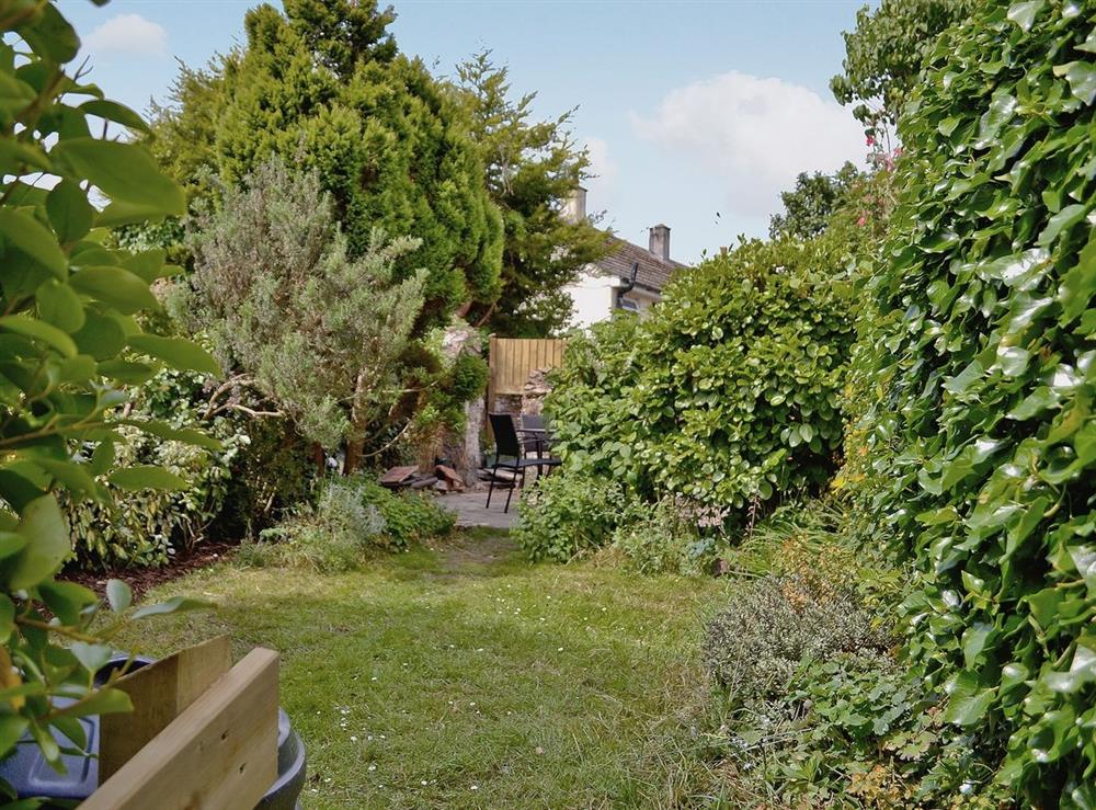 Garden at Hillside in Egloshayle, near Wadebridge, Cornwall
