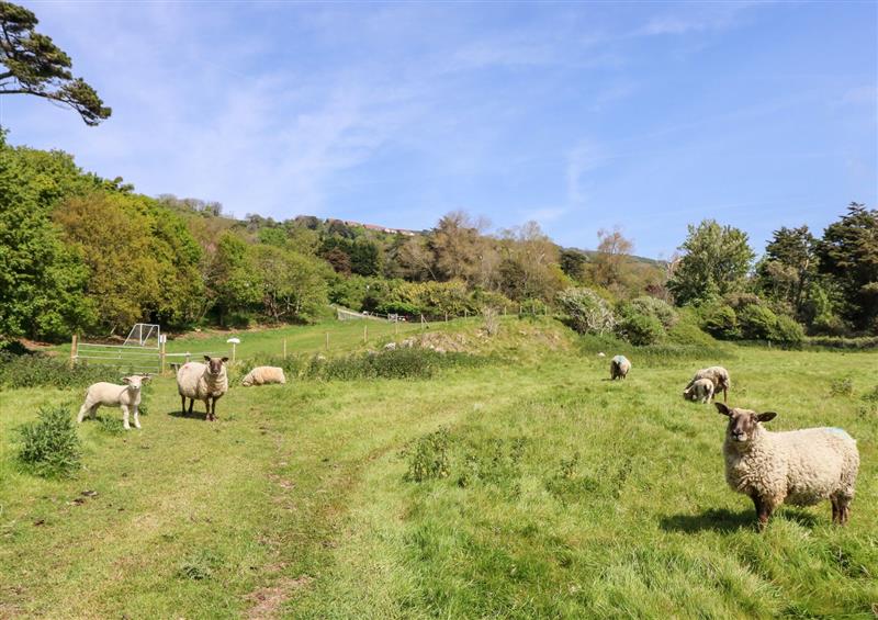 The setting of Hillside Farm Retreat