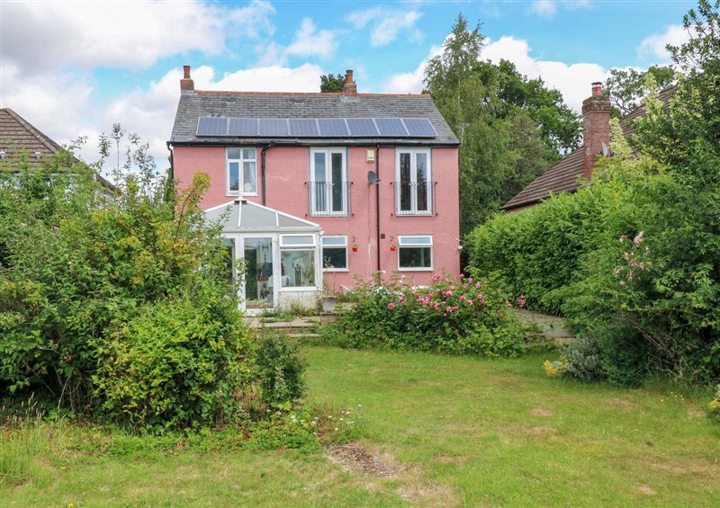 This is the garden at Hillside, Holmer Green
