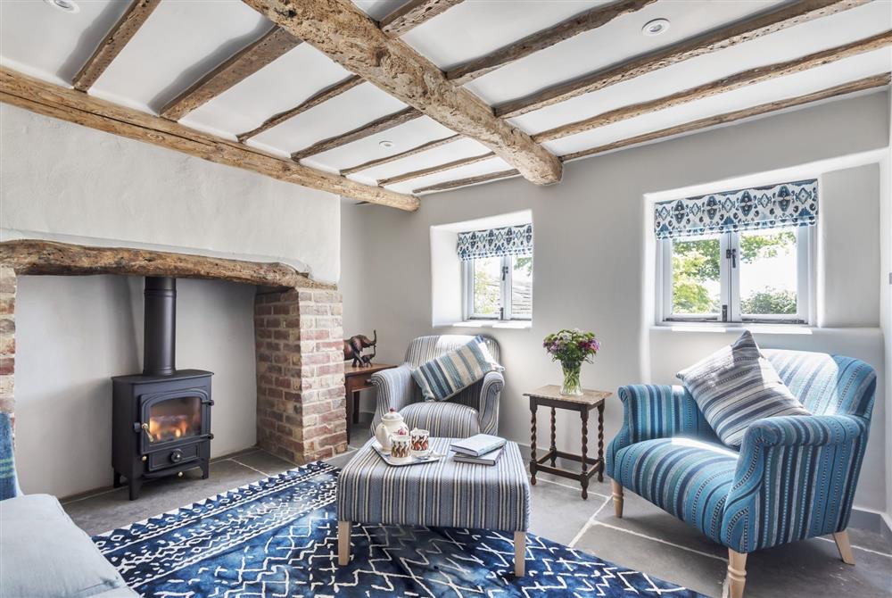 The stylish television room and snug with wood burning stove at Hilltop Cottage, Wimborne