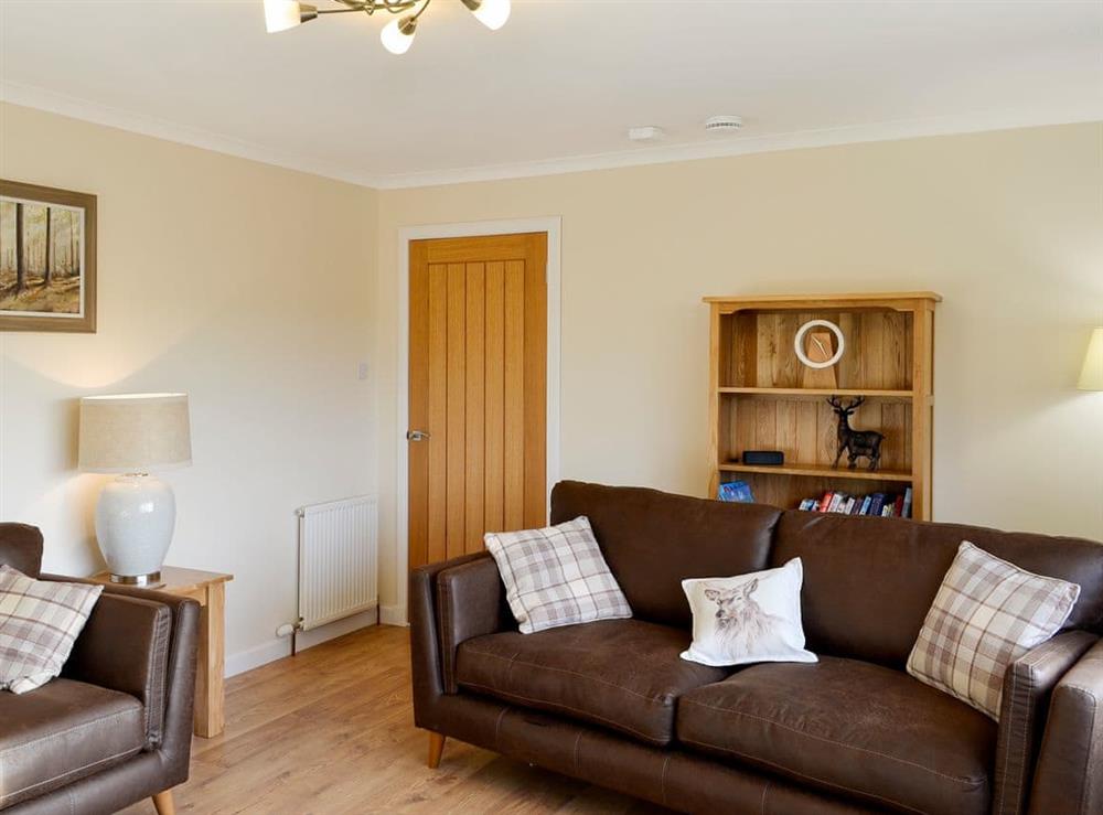 Comfortable living room with wood burner (photo 3) at Hillview in Gateside, near Beith, Ayrshire