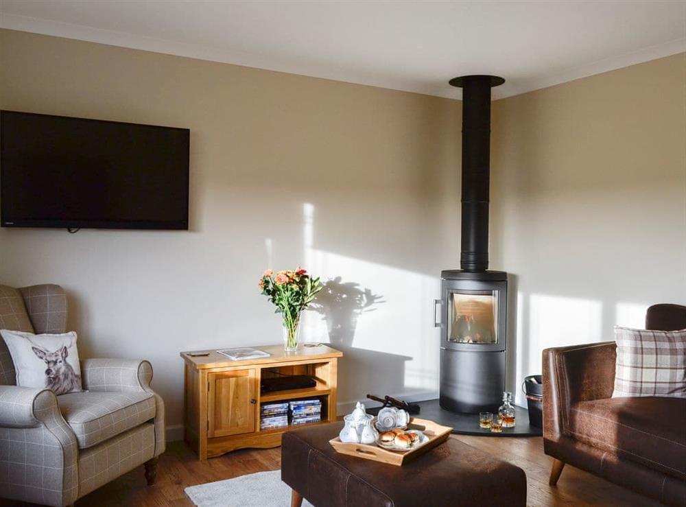 Comfortable living room with wood burner at Hillview in Gateside, near Beith, Ayrshire