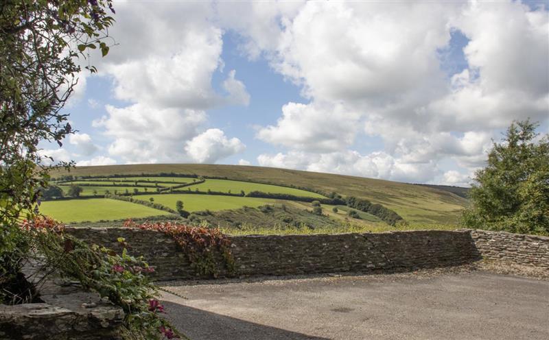 Rural landscape