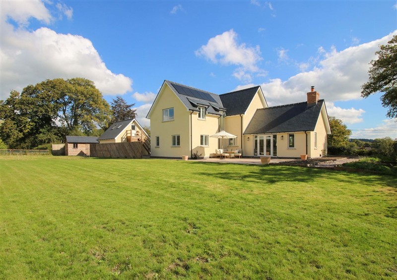 The garden at Hoddell Pitch Cottage, Kinnerton near New Radnor