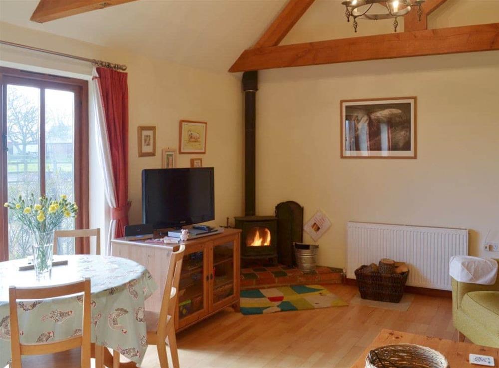 Lofty open plan living area with woodburning stove at Hog Pits in East Tytherton, Wiltshire