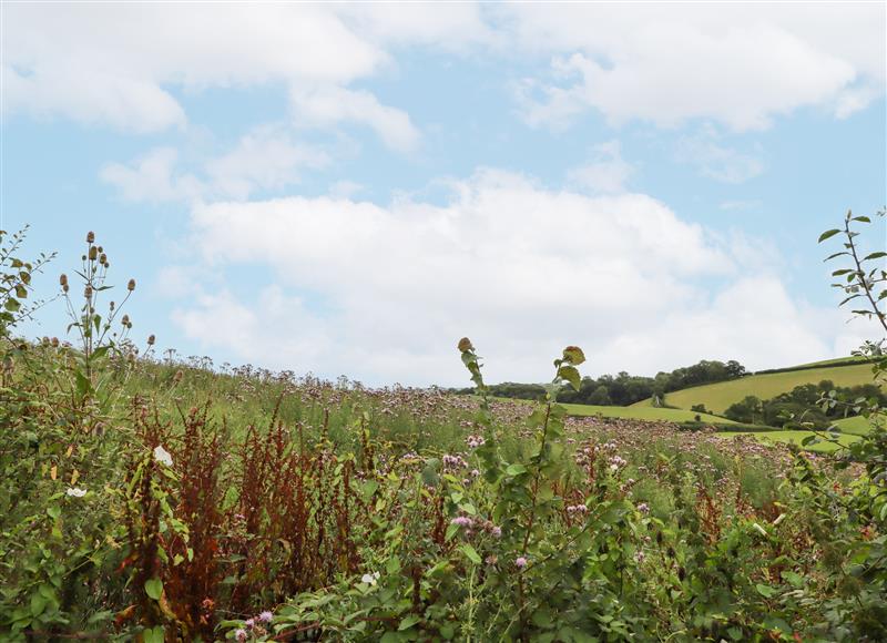 The setting of Hole Farm Stables