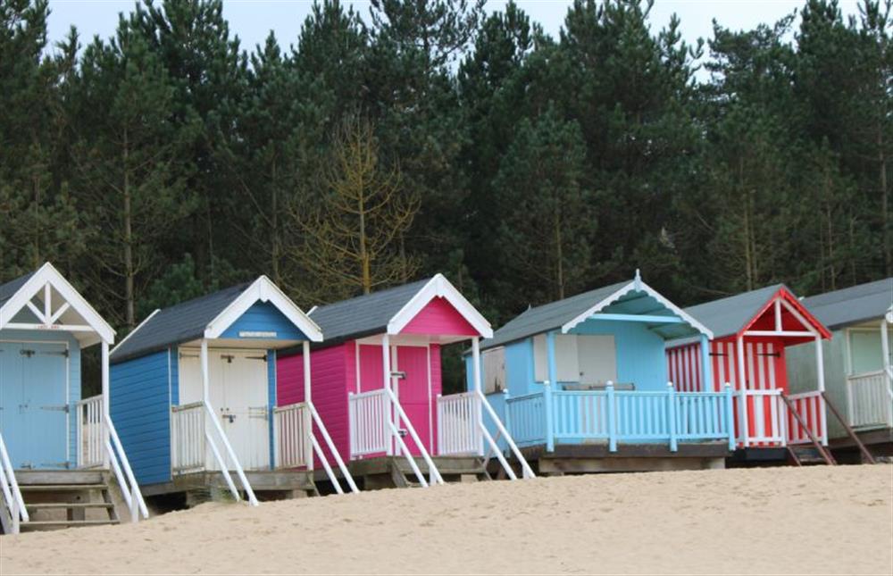 Beach huts on the sand at Wells-next-the-Sea beach with pinewoods behind at Holkham Skies, Wells-next-the-Sea