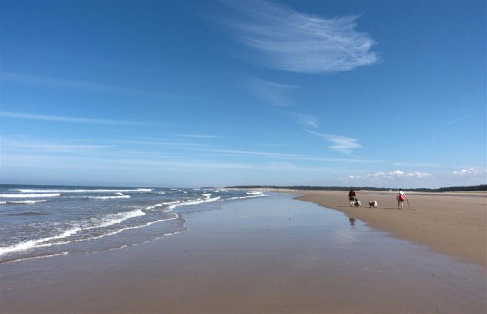Just a 10 minute drive away youftll discover the breath-taking Holkham beach at Holkham Skies, Wells-next-the-Sea