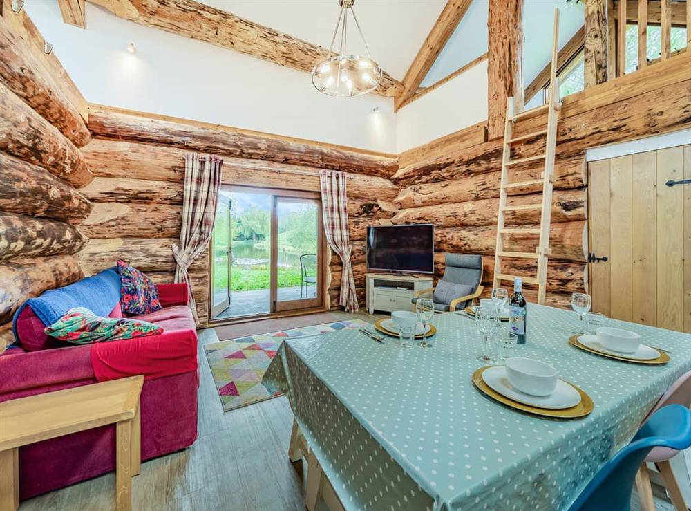 Open plan living space at Hollacombe Lodge in Hollacombe, near Crediton, Devon