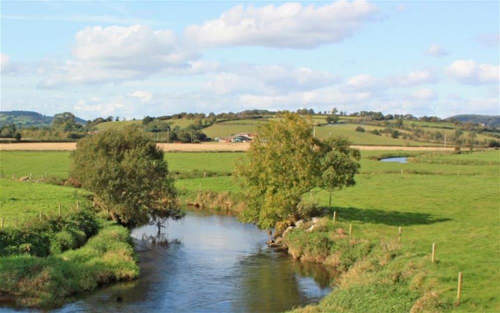 The River Axe - just a five minute walk away at Hollie Cottage in Seaton