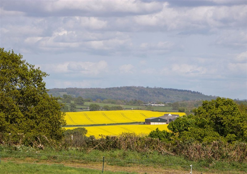 The area around Hollie at Hollie, Raglan