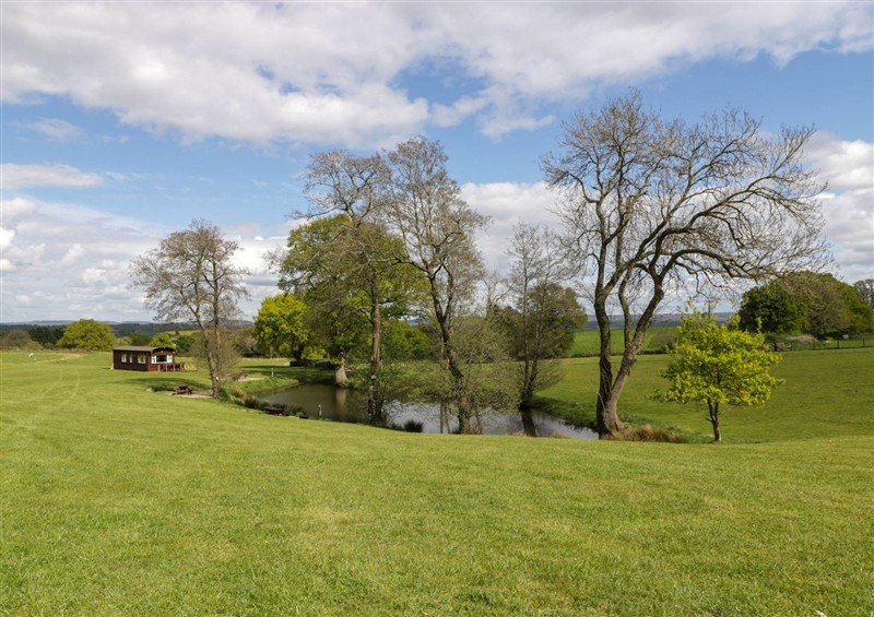 The garden (photo 3) at Hollie, Raglan