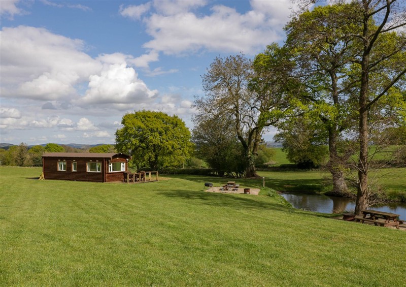 The garden at Hollie, Raglan