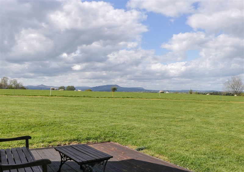This is the garden (photo 2) at Hollie, Raglan