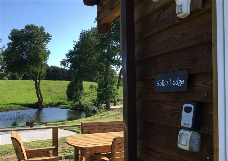 This is the setting of Hollie at Hollie, Raglan
