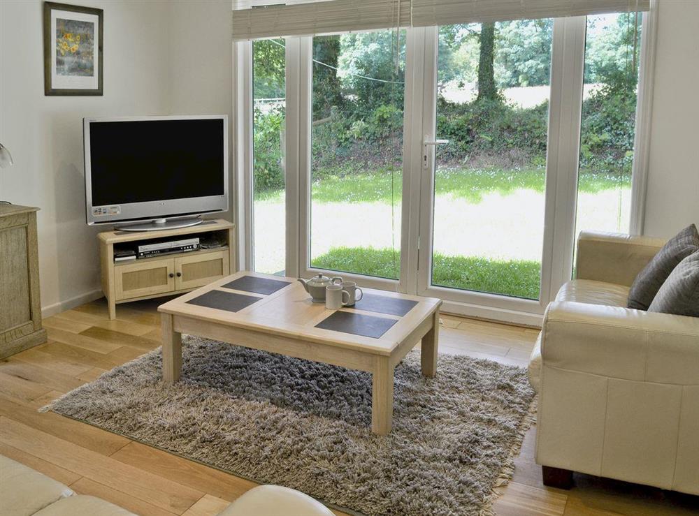 Living room at Hollies in Bradworthy, near Holsworthy, Devon