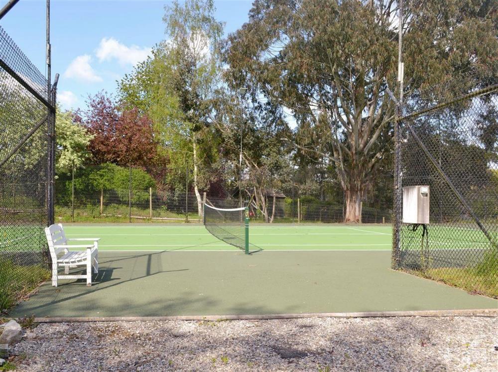 Enjoy sunny afternoons, playing tennis