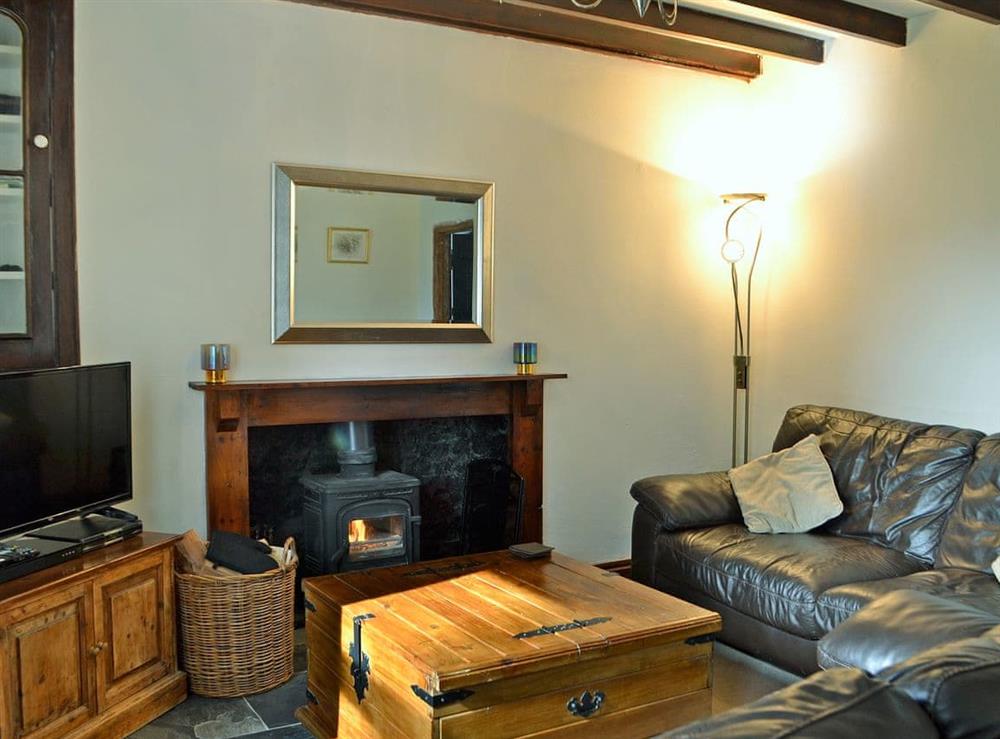 Warm and welcoming living room with wood burner at Holly Cottage in Lower Cwmtrch, near Ystradgynlais, Powys