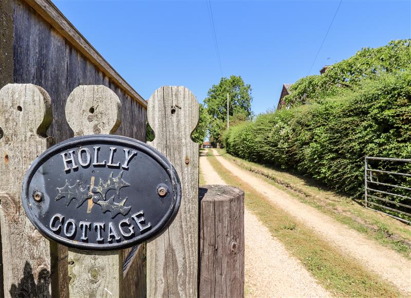 In the area at Holly Cottage, Wickenby near Wragby