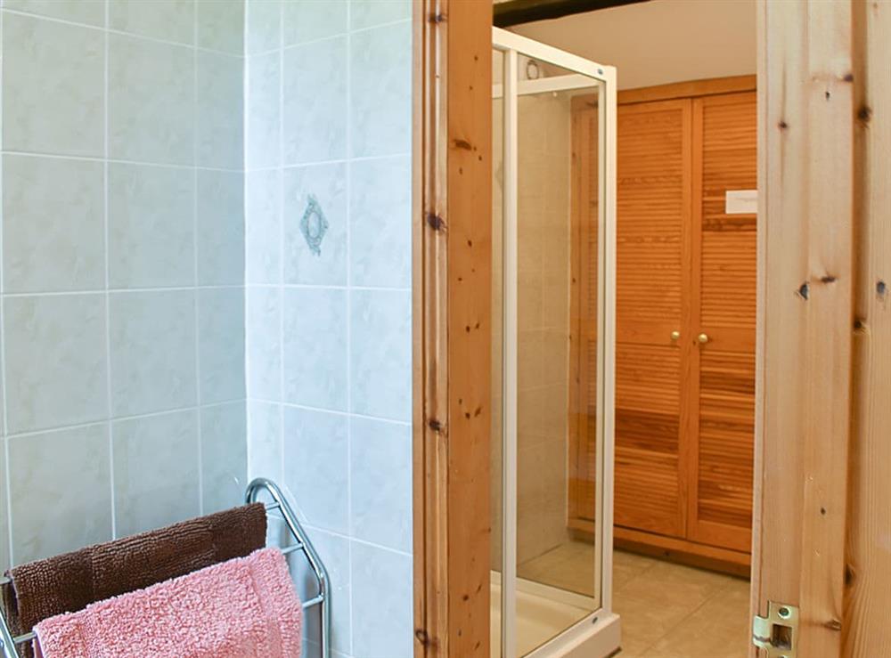 Shower room at Holly Lodge, 