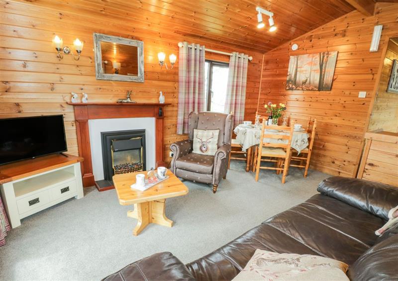 This is the living room at Holly Lodge, Liverton