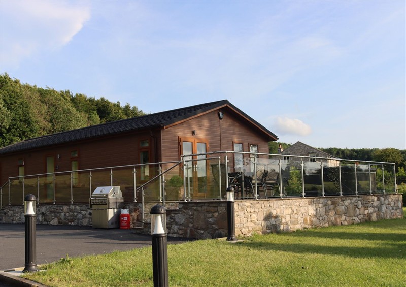 Outside at Holly Lodge, Lloc near Caerwys
