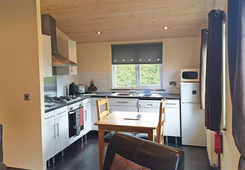 Kitchen in Lavender Lodge at Hollybrook Lodges in Easingwold, Yorkshire