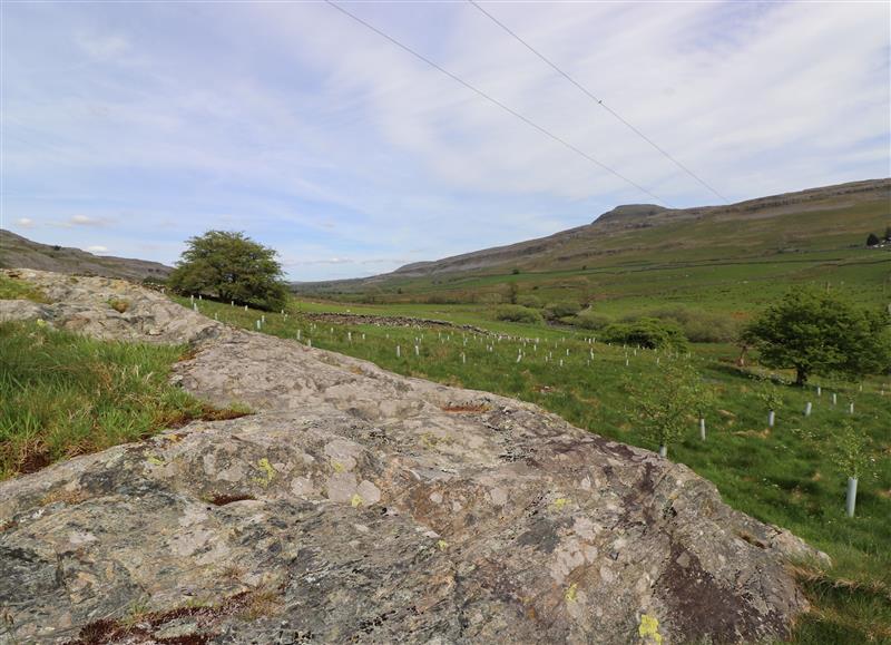 Rural landscape