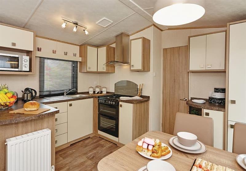 Kitchen in a Platinum Caravan Six Plus VIP at Holmans Wood in Chudleigh, South Devon