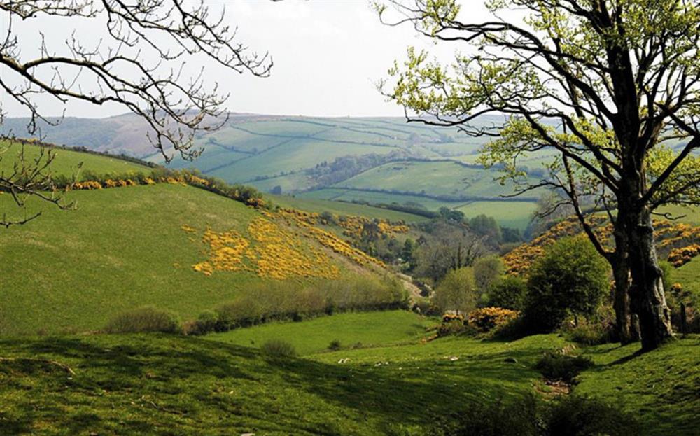 The Lorna Doone Valley offers superb walking. at Holmbush in Withypool