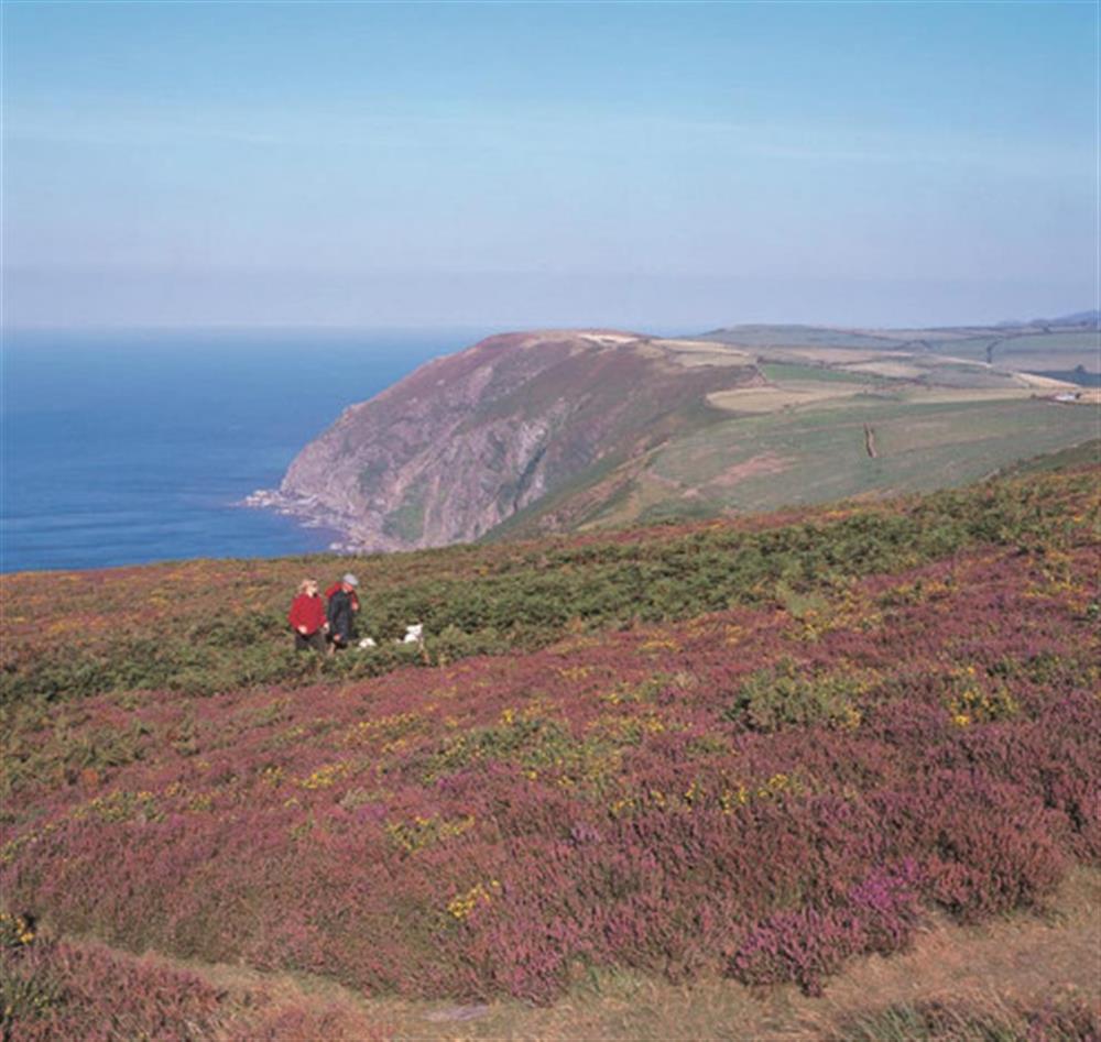 Where Exmoor meets the coast. at Holmbush in Withypool