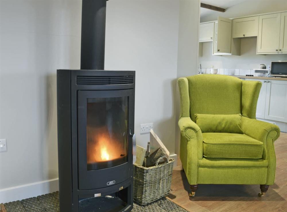 Cosy wood burner in living area at Wagtail Cottage, 