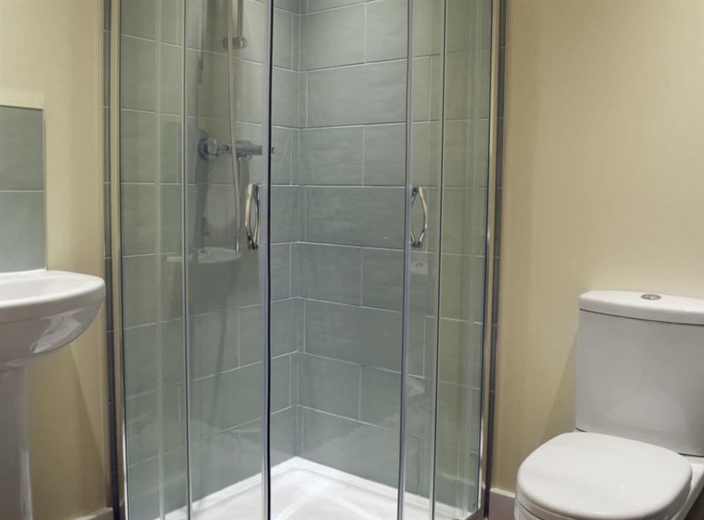 En-suite with shower cubicle at Wagtail Cottage, 