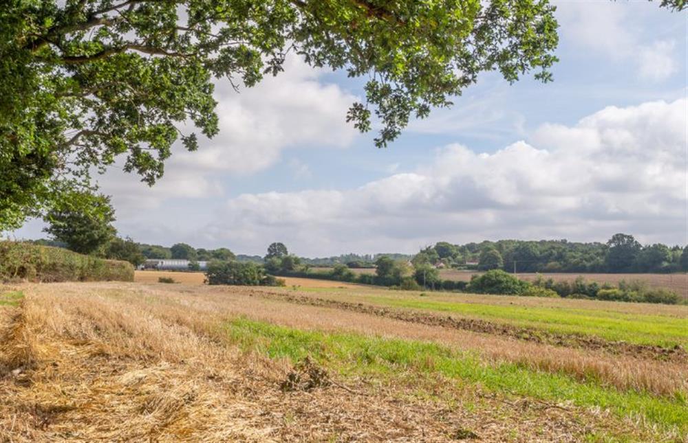 Large fields for extensive walks at Holt Coach House, Edwardstone