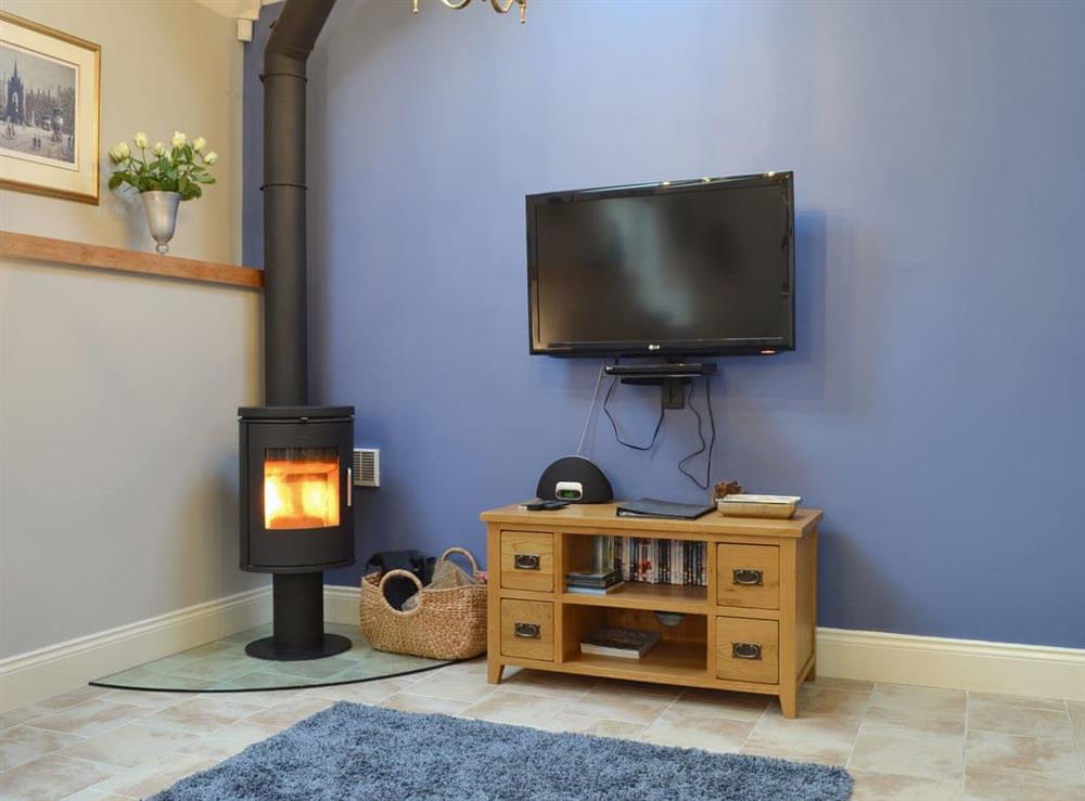 Modern wood burner and wall mounted TV in living area at Applegate Cottage, 
