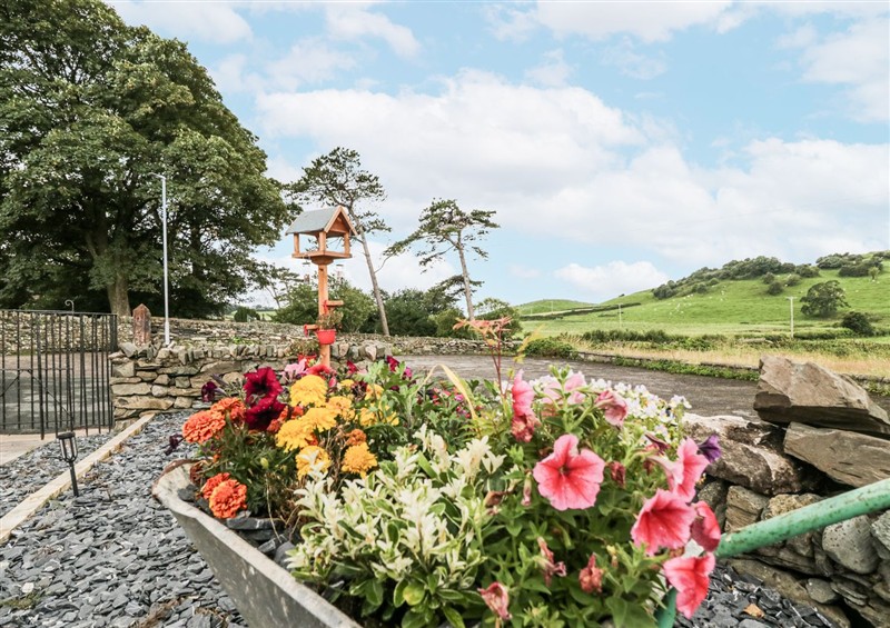 Outside at Holy Trinity Cottage, Millom