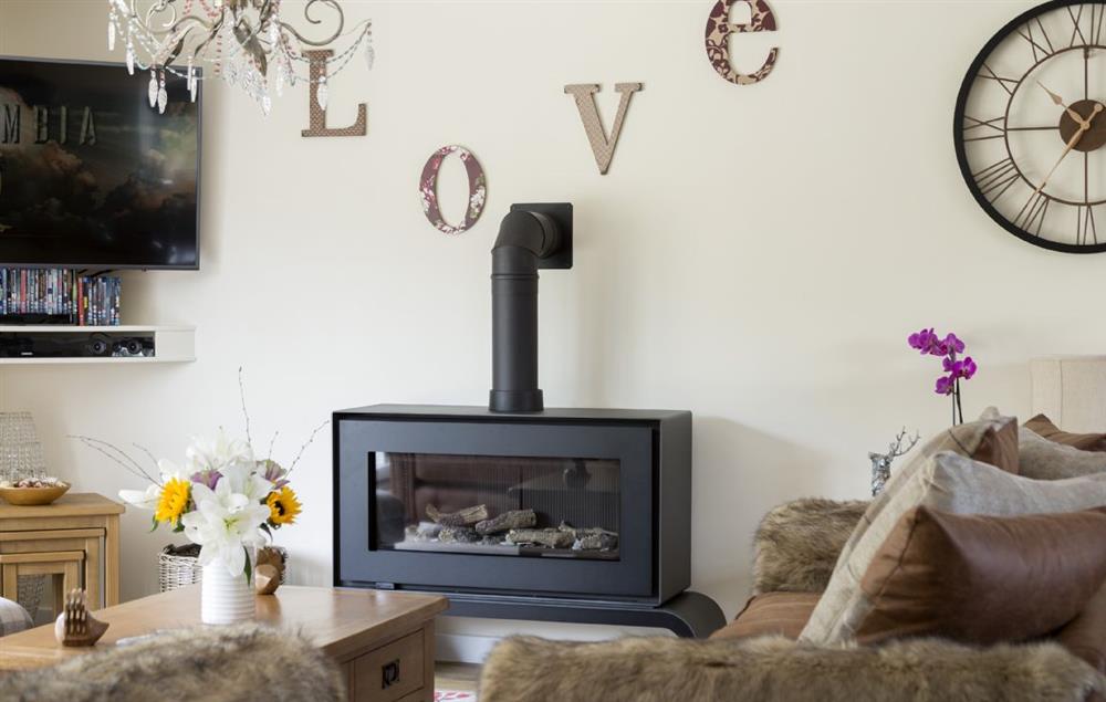 The log effect gas stove is perfect for cosy evenings curled up in front of the television at Holywell House, Wellington