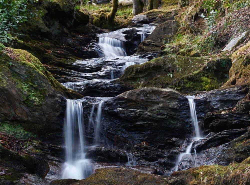 Explore the unspoilt wooded glens