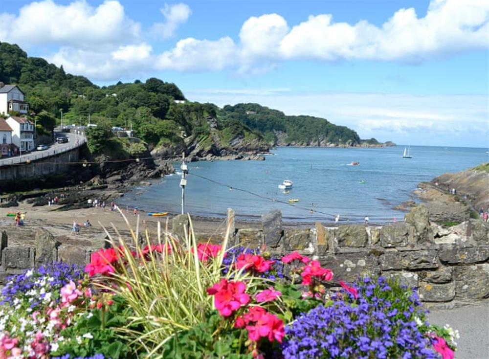 Surrounding area at Home Cottage in Barbrook, near Lynton, Devon