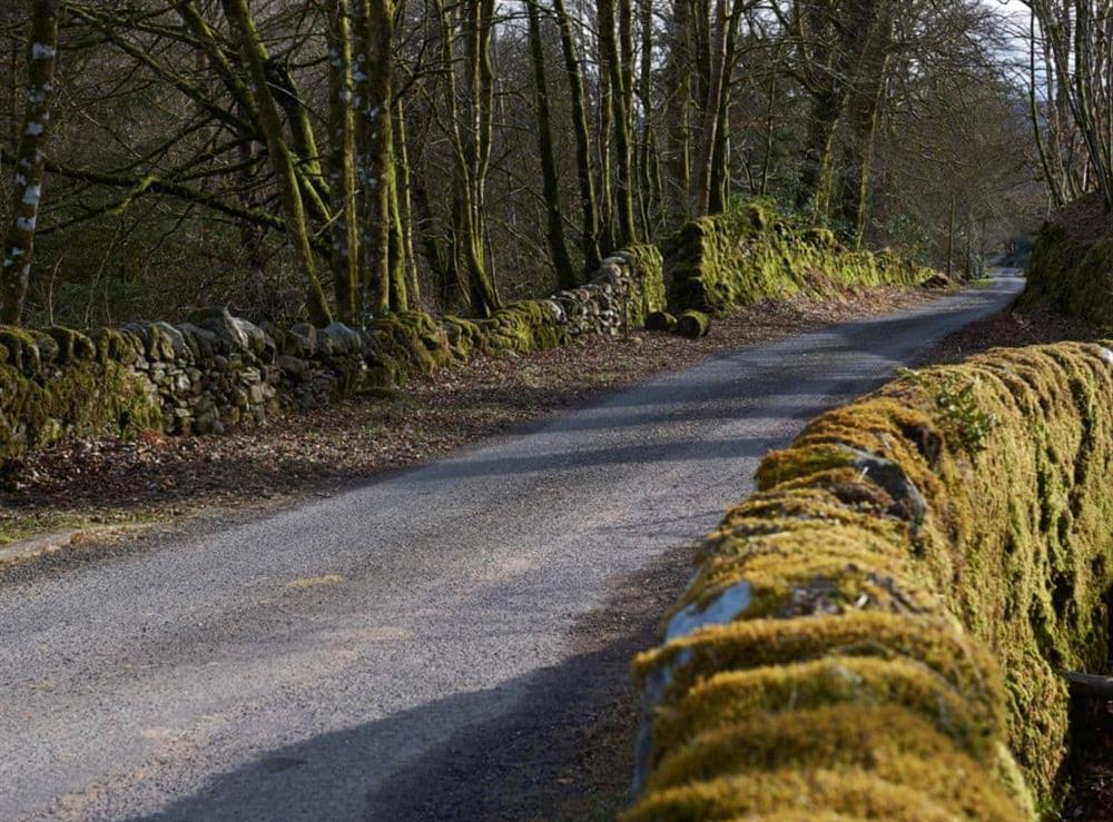 Meander down the country lanes at Glendaruel Lodge, 