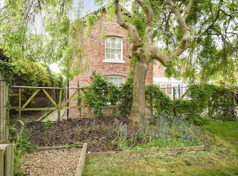 Garden at Home Farm House in Dorrington, near Church Stretton, Shropshire